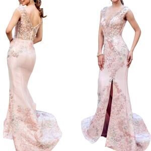 Terani Couture Blush Pink Floral Sequin Embroidered Gown US 10
